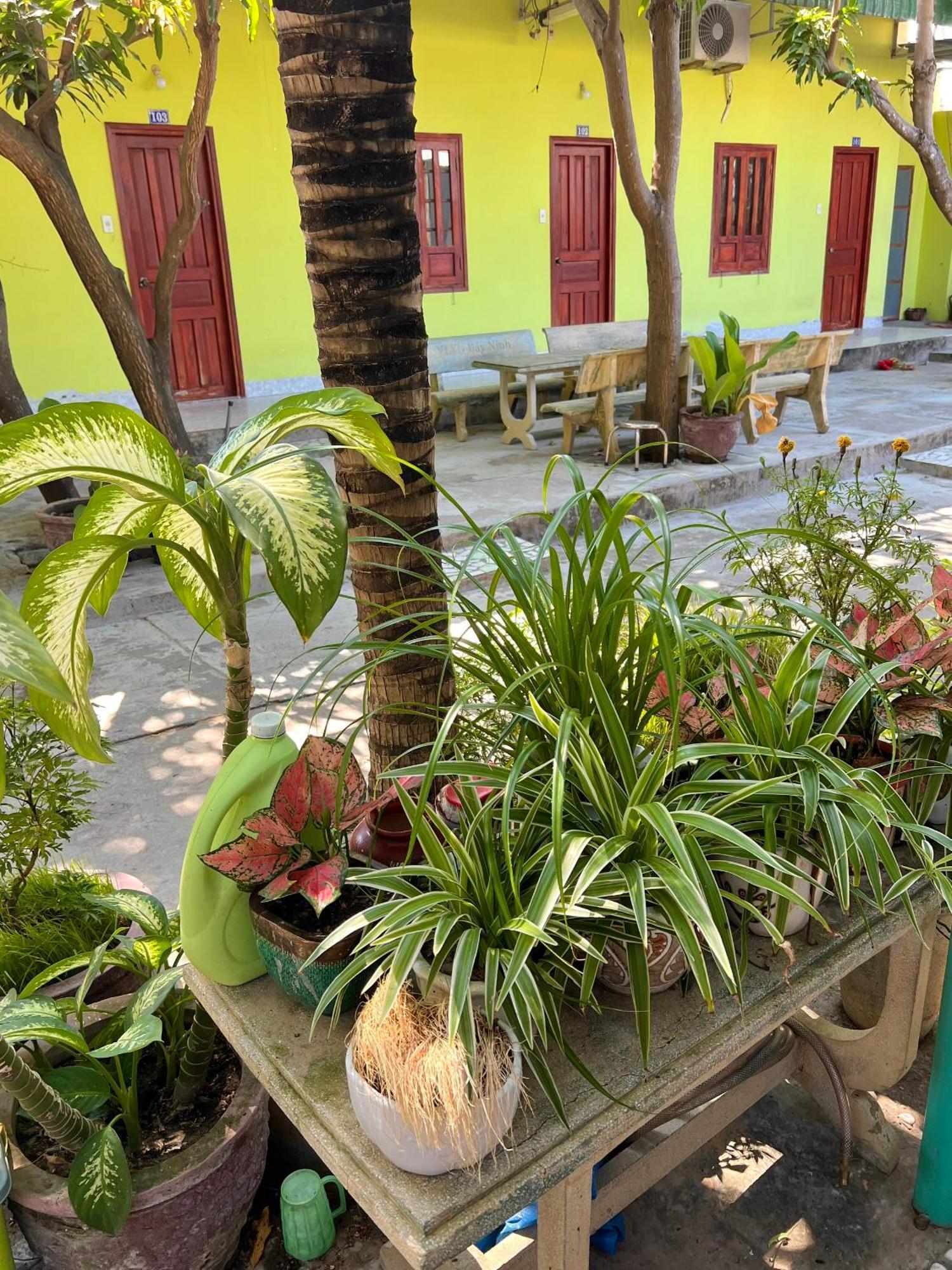Duc Thao Guest House Mui Ne Dış mekan fotoğraf