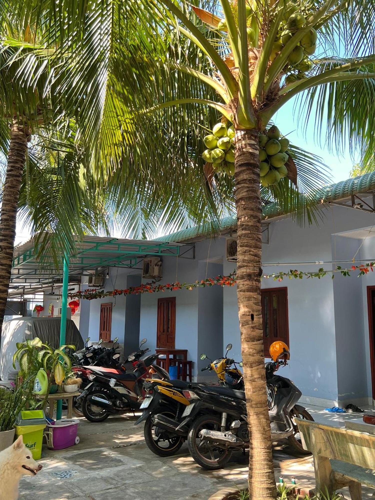 Duc Thao Guest House Mui Ne Dış mekan fotoğraf