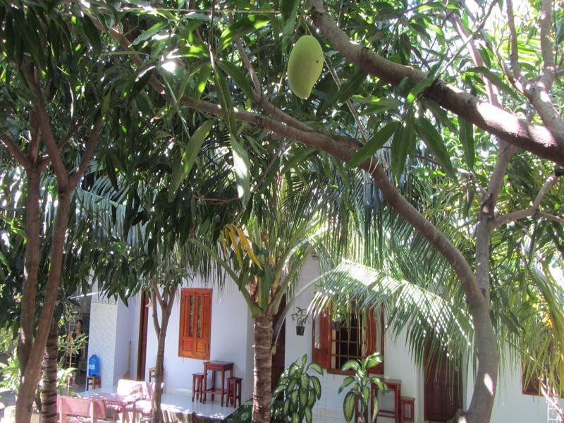 Duc Thao Guest House Mui Ne Dış mekan fotoğraf