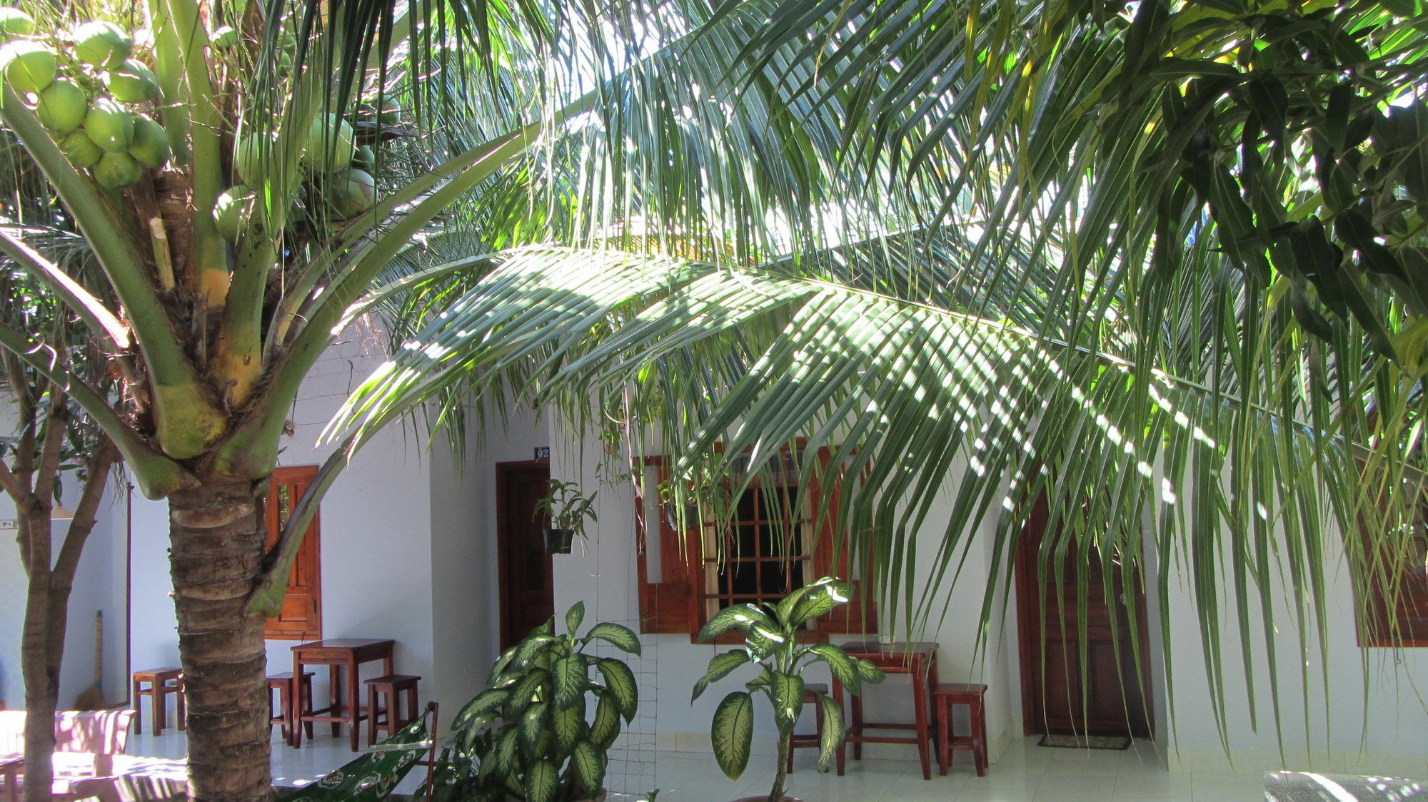 Duc Thao Guest House Mui Ne Dış mekan fotoğraf
