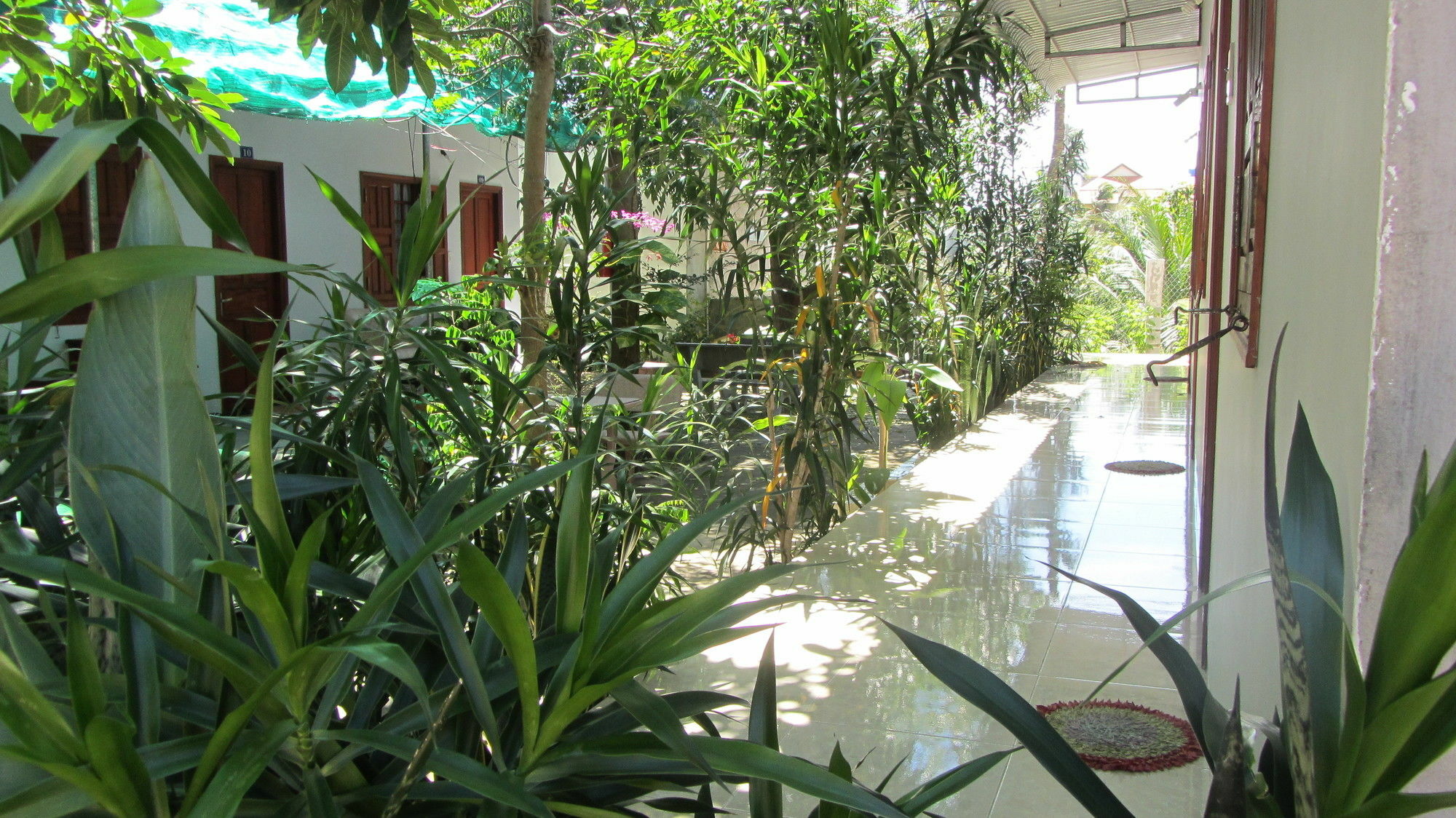 Duc Thao Guest House Mui Ne Dış mekan fotoğraf