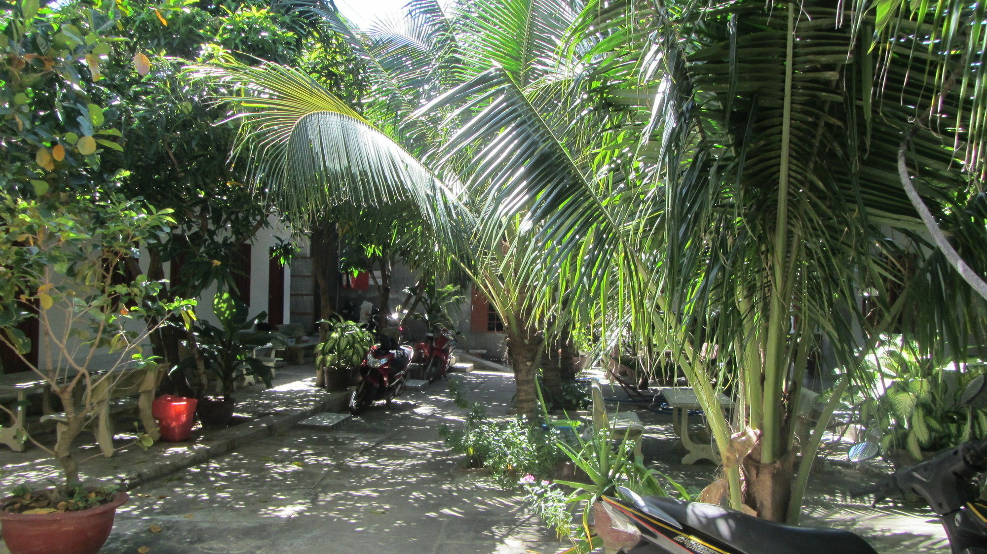 Duc Thao Guest House Mui Ne Dış mekan fotoğraf