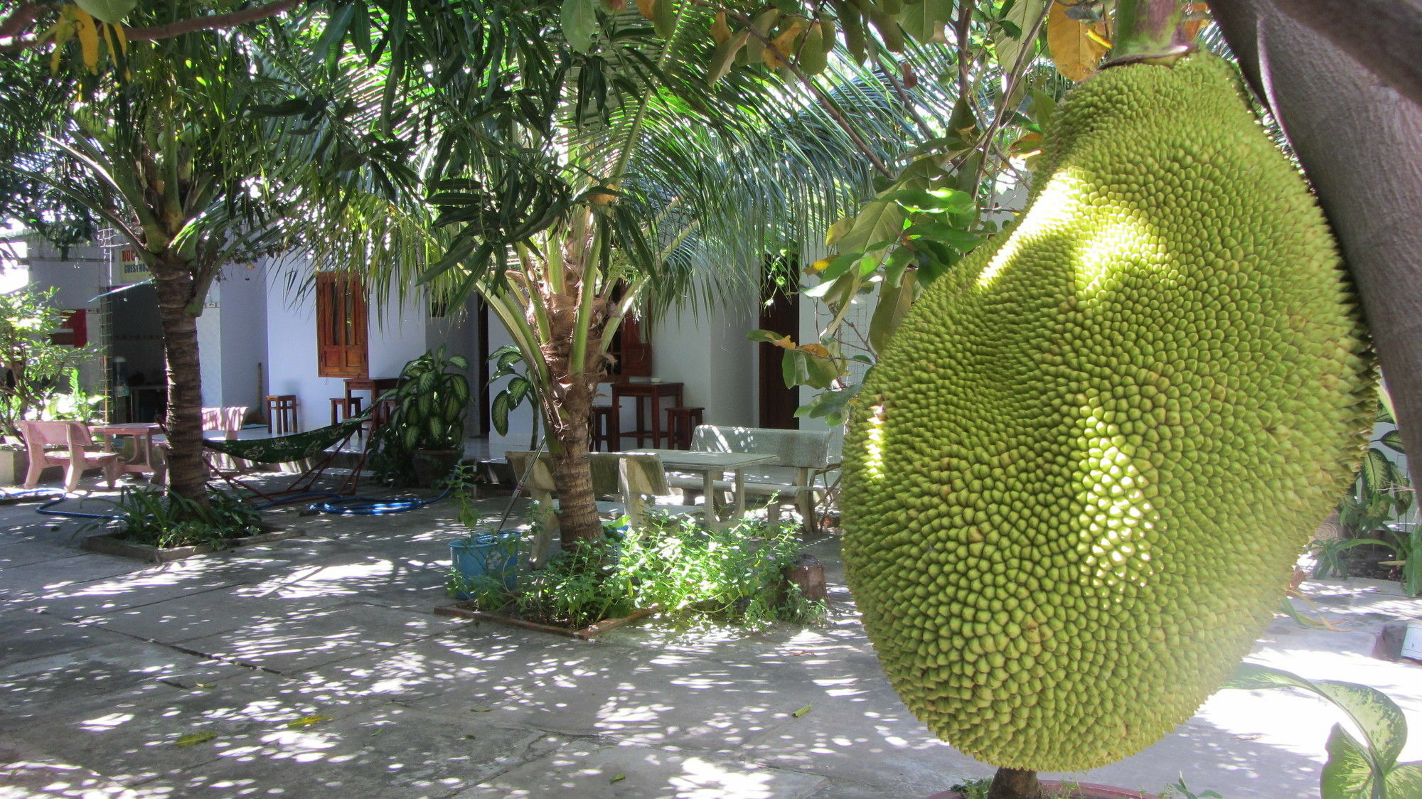 Duc Thao Guest House Mui Ne Dış mekan fotoğraf